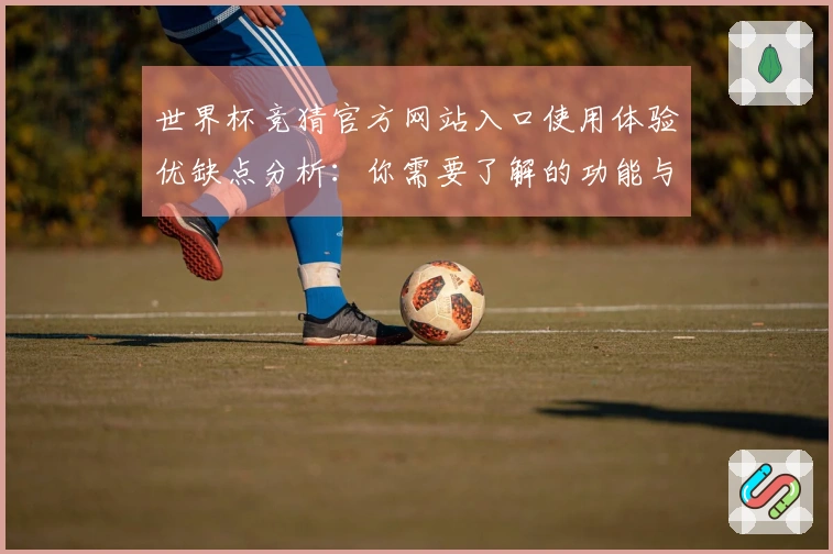 世界杯竞猜官方网站入口使用体验优缺点分析：你需要了解的功能与评测