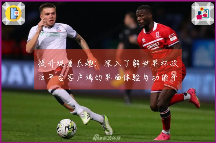 提升观看乐趣：深入了解世界杯投注平台客户端的界面体验与功能介绍