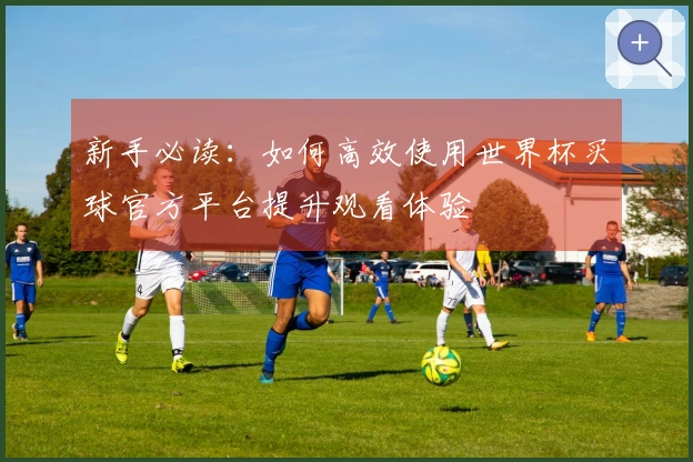 新手必读：如何高效使用世界杯买球官方平台提升观看体验