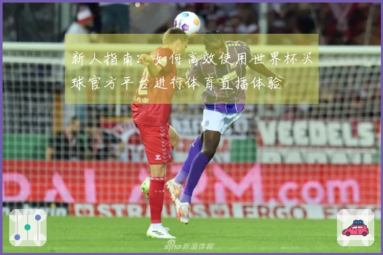 新人指南：如何高效使用世界杯买球官方平台进行体育直播体验