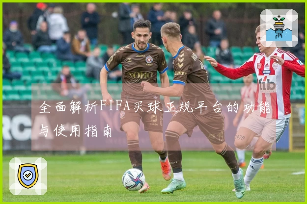 全面解析FIFA买球正规平台的功能与使用指南