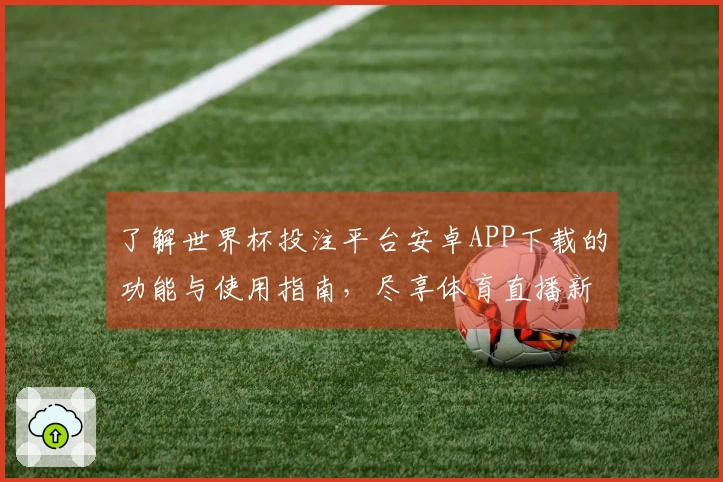 了解世界杯投注平台安卓APP下载的功能与使用指南，尽享体育直播新体验