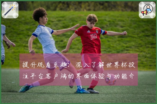 提升观看乐趣：深入了解世界杯投注平台客户端的界面体验与功能介绍