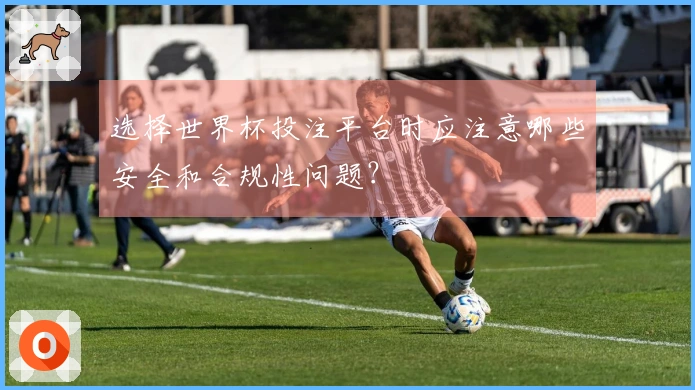 选择世界杯投注平台时应注意哪些安全和合规性问题？