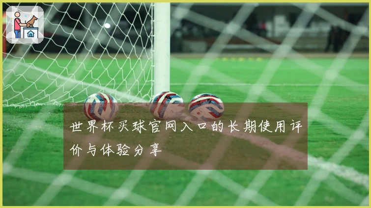 世界杯买球官网入口的长期使用评价与体验分享